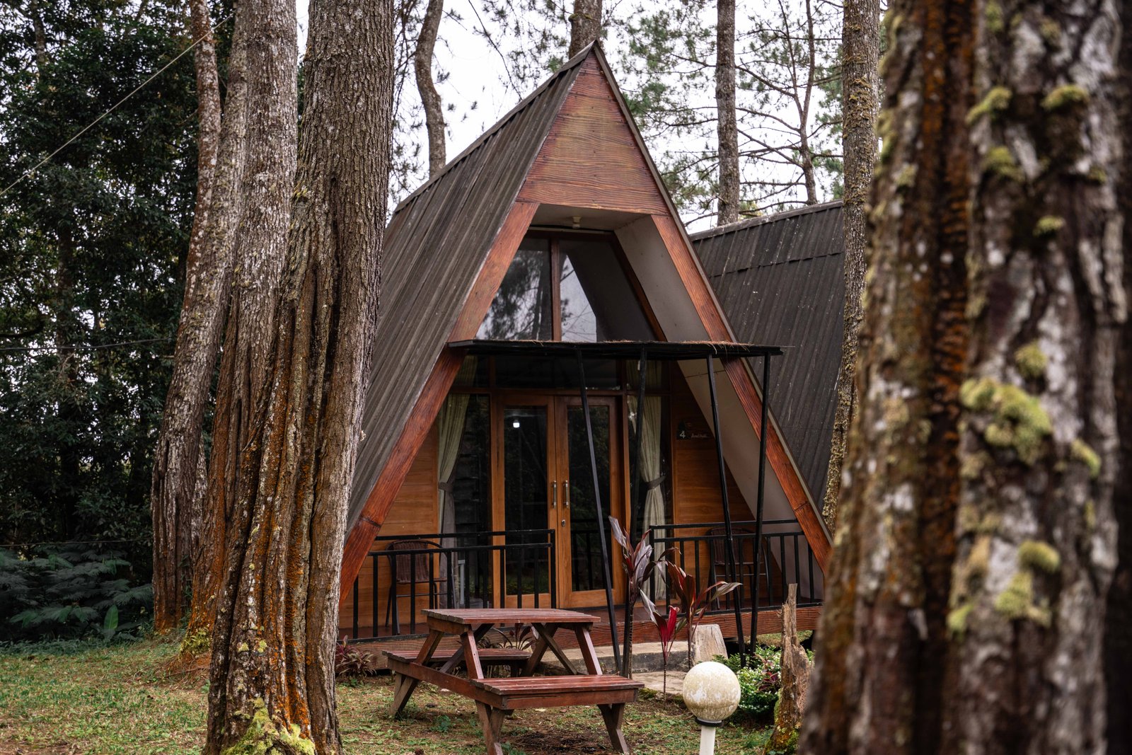 Padang rumput pegunungan untuk Wild Camp